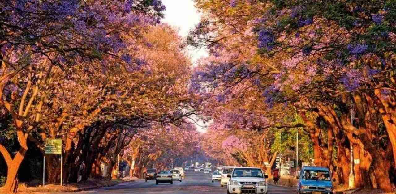 Harare