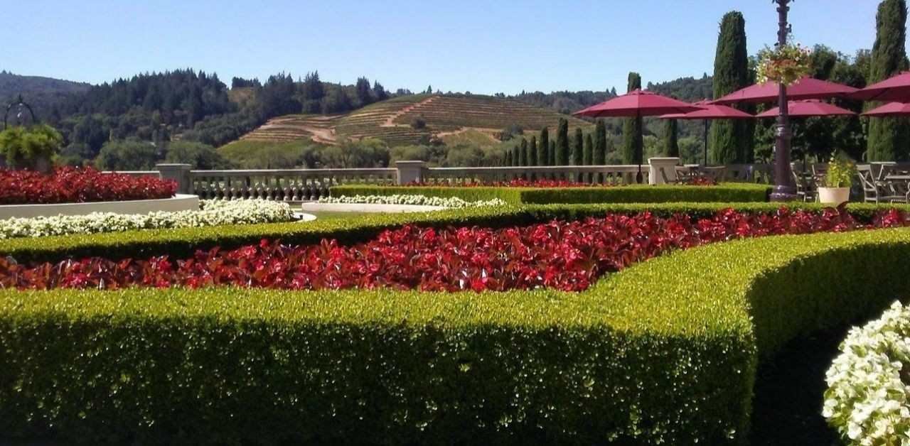 Santa Rosa